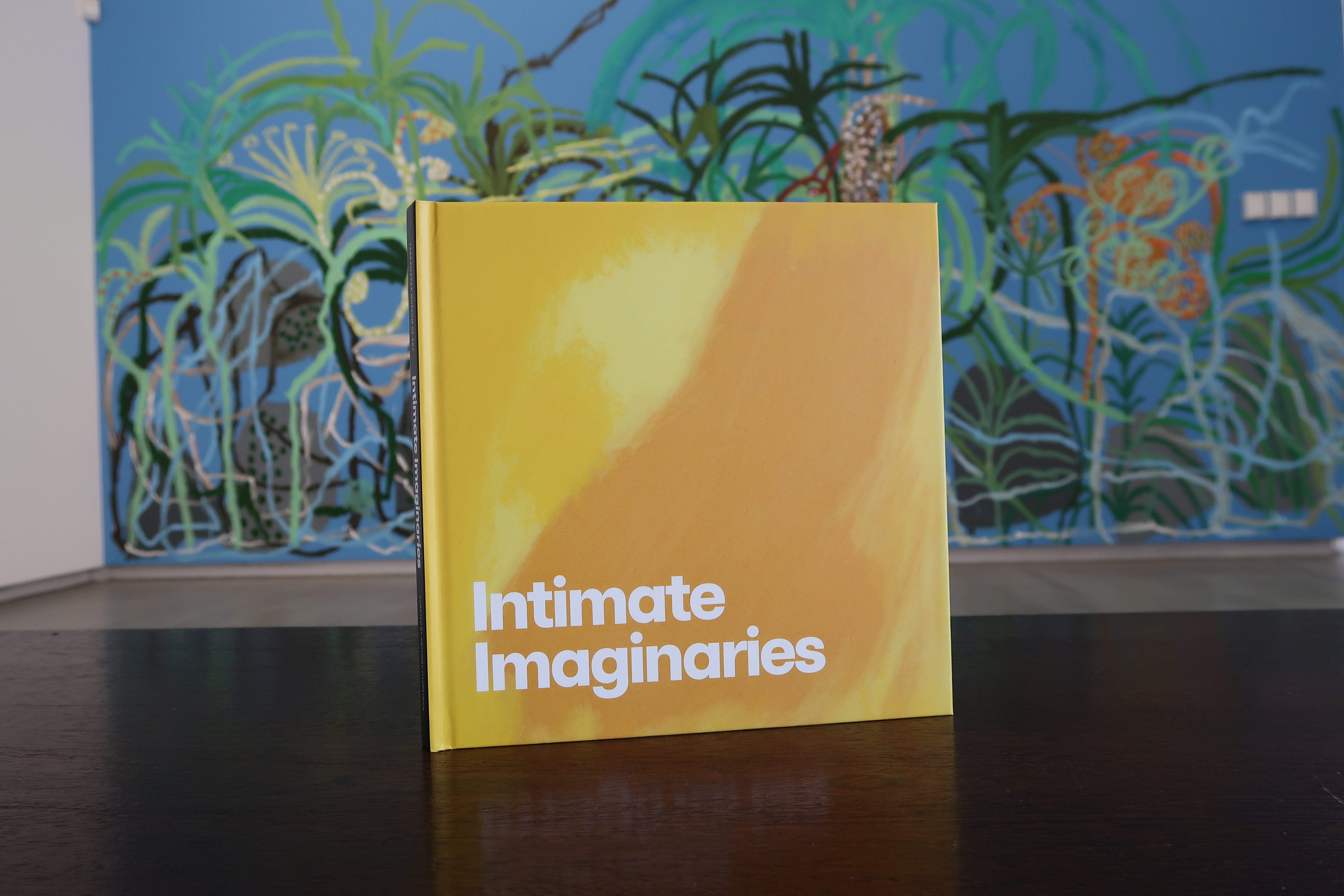 Intimate Imaginaries exhibition catalogue