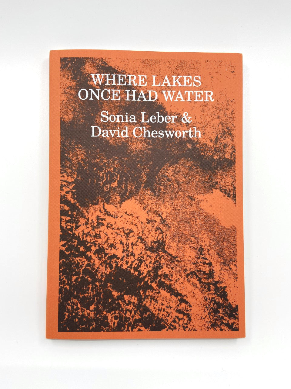 Sonia Leber and David Chesworth: Where Lakes Once Had Water