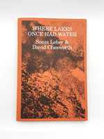 Load image into Gallery viewer, Sonia Leber and David Chesworth: Where Lakes Once Had Water
