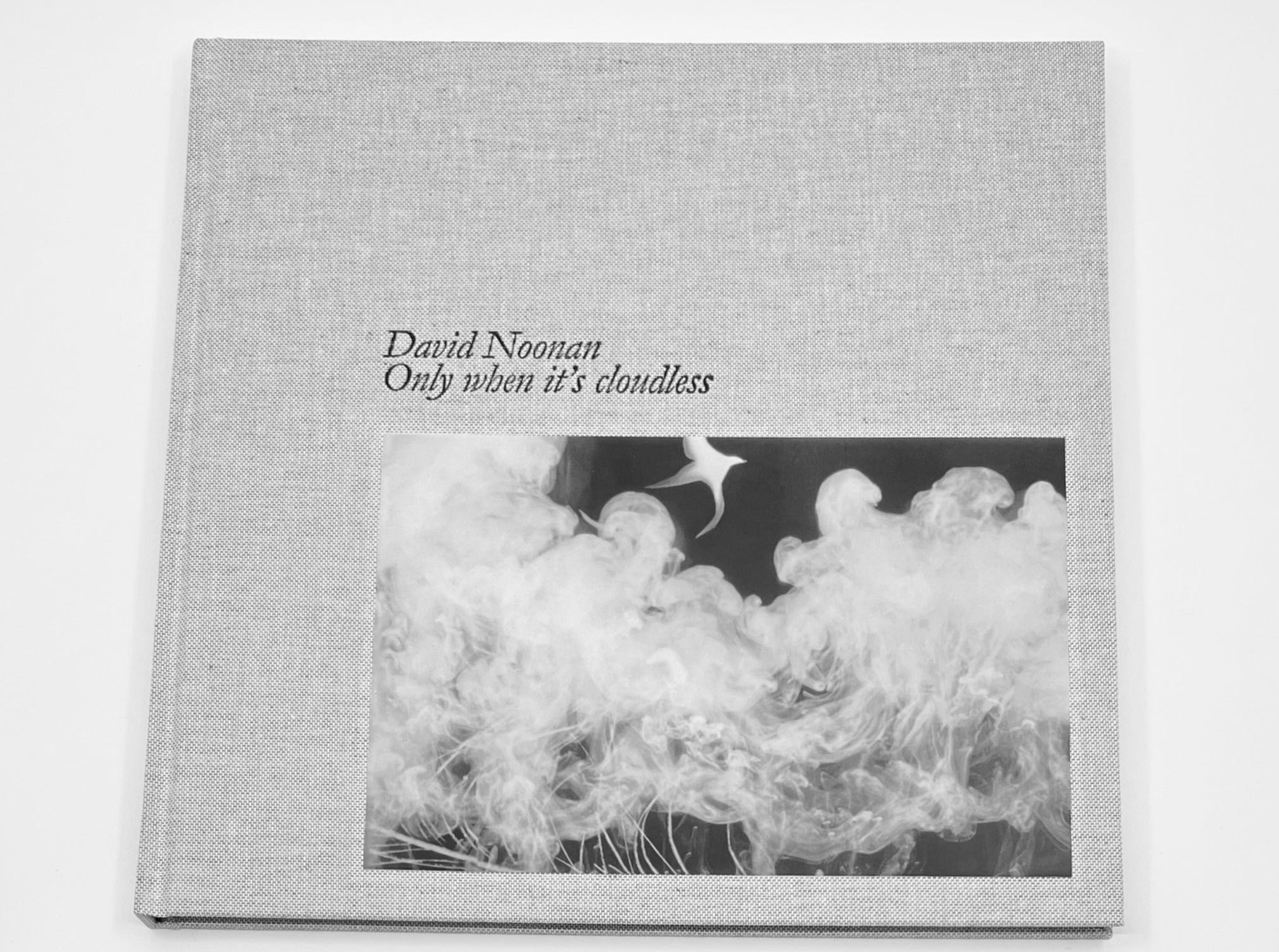 Catalogue: 'David Noonan: Only when it's cloudless' by TarraWarra Museum of Art